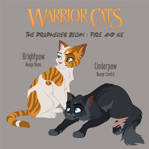 warrior cats apprentice|warrior cat apprentice generator.